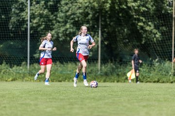 Bild 270 - wBJ Hamburger SV - VfL Wolfsburg : Ergebnis: 5:1
